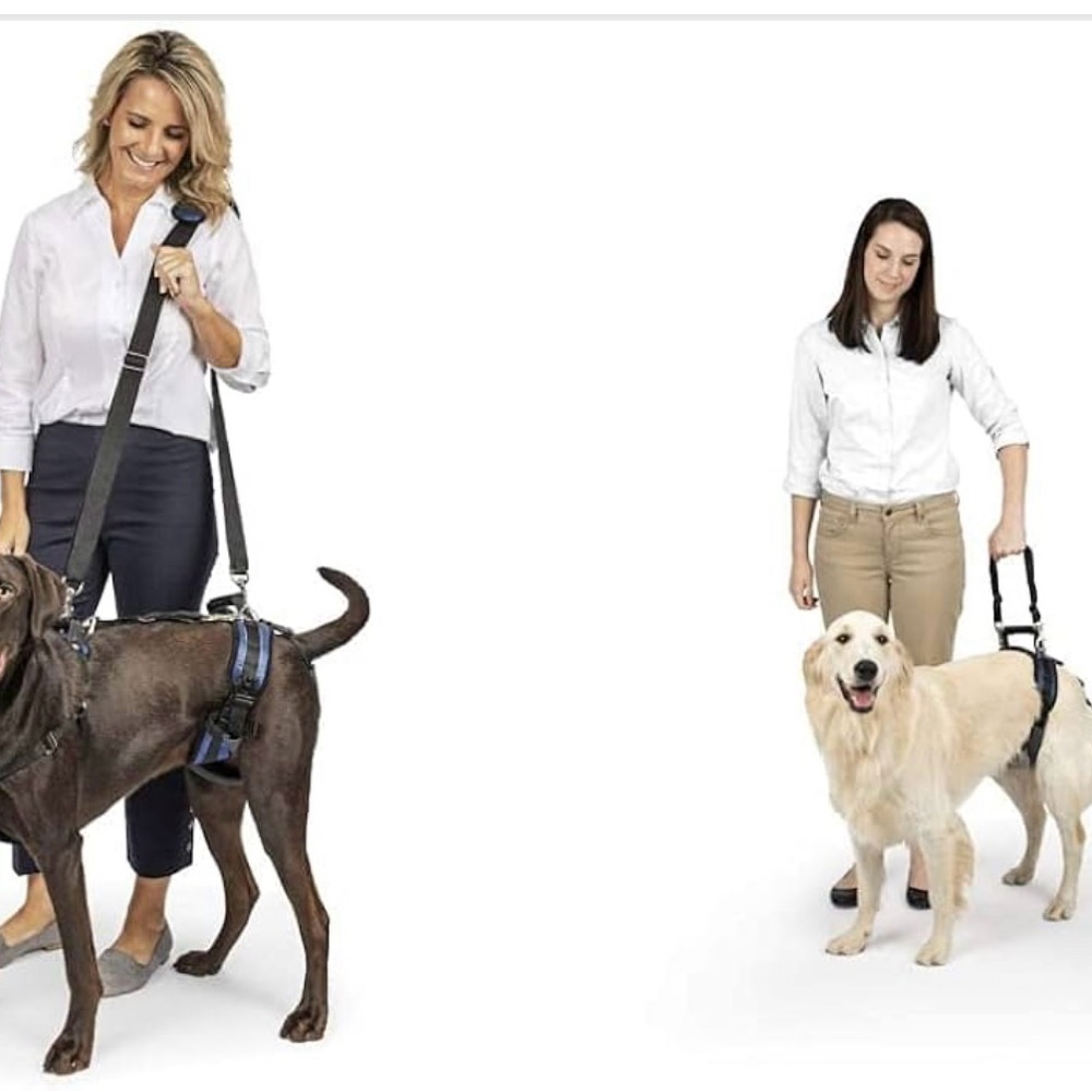 PetSafe CareLift Full Body Lifting Harness Large‎ 70-130lbs Dog Mobility NIB .